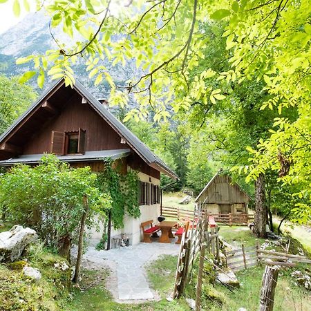 Alpine House Antonia Βίλα Trenta Εξωτερικό φωτογραφία