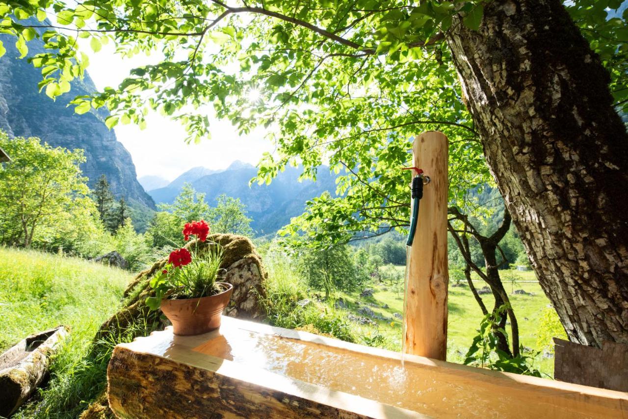 Alpine House Antonia Βίλα Trenta Εξωτερικό φωτογραφία