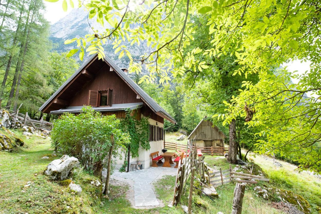 Alpine House Antonia Βίλα Trenta Εξωτερικό φωτογραφία
