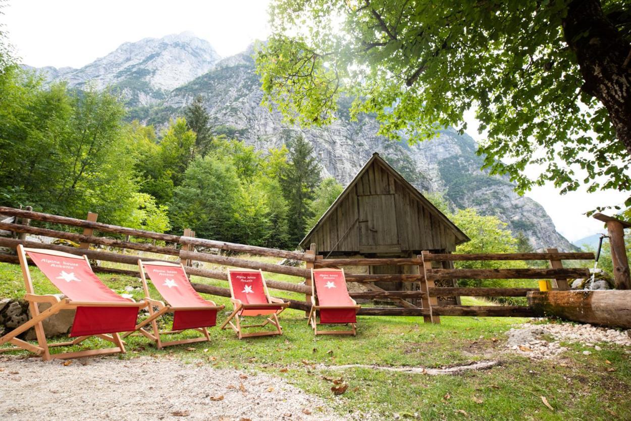 Alpine House Antonia Βίλα Trenta Εξωτερικό φωτογραφία